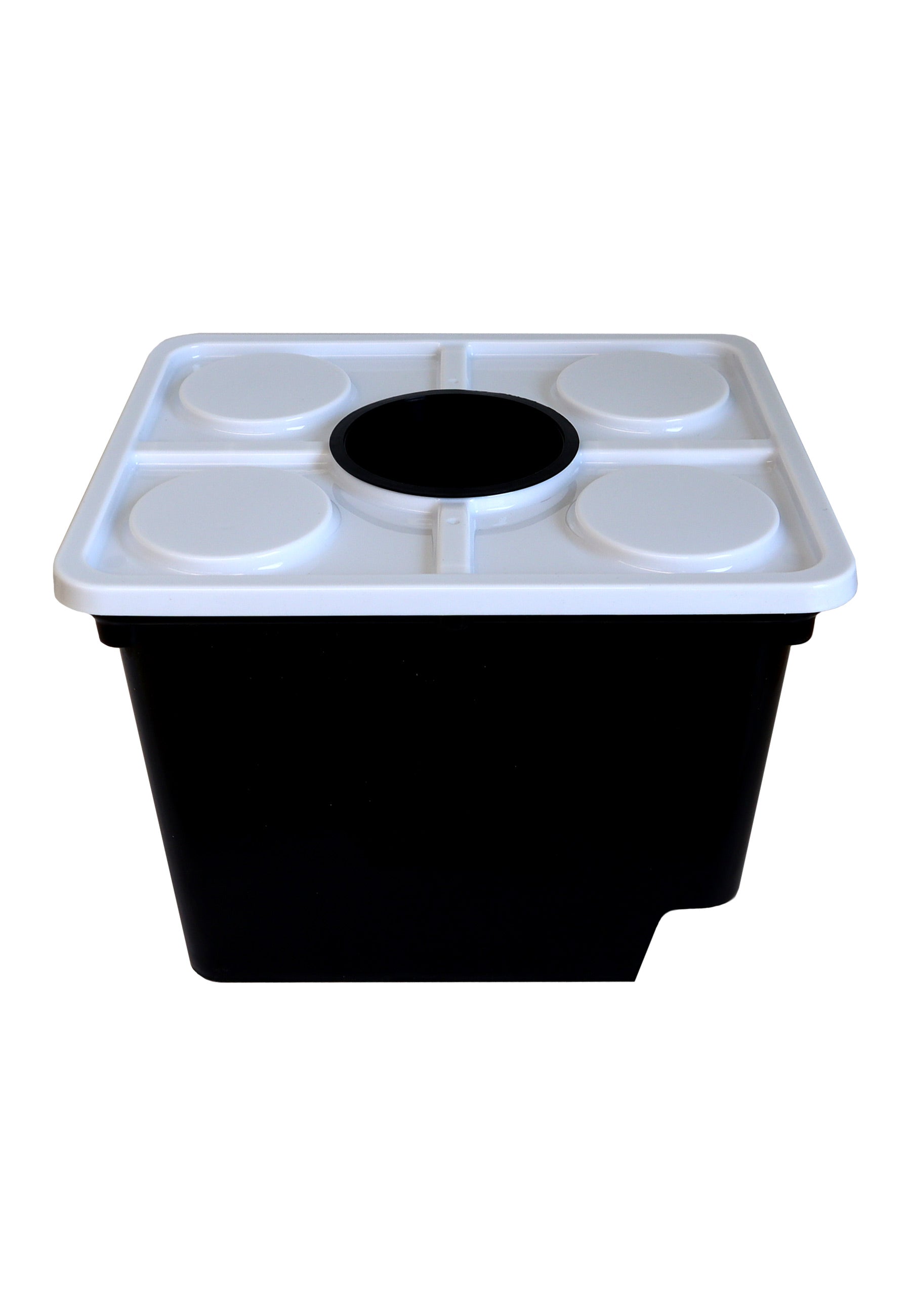 Schwarze Hydrokultur-Box mit weißem Deckel