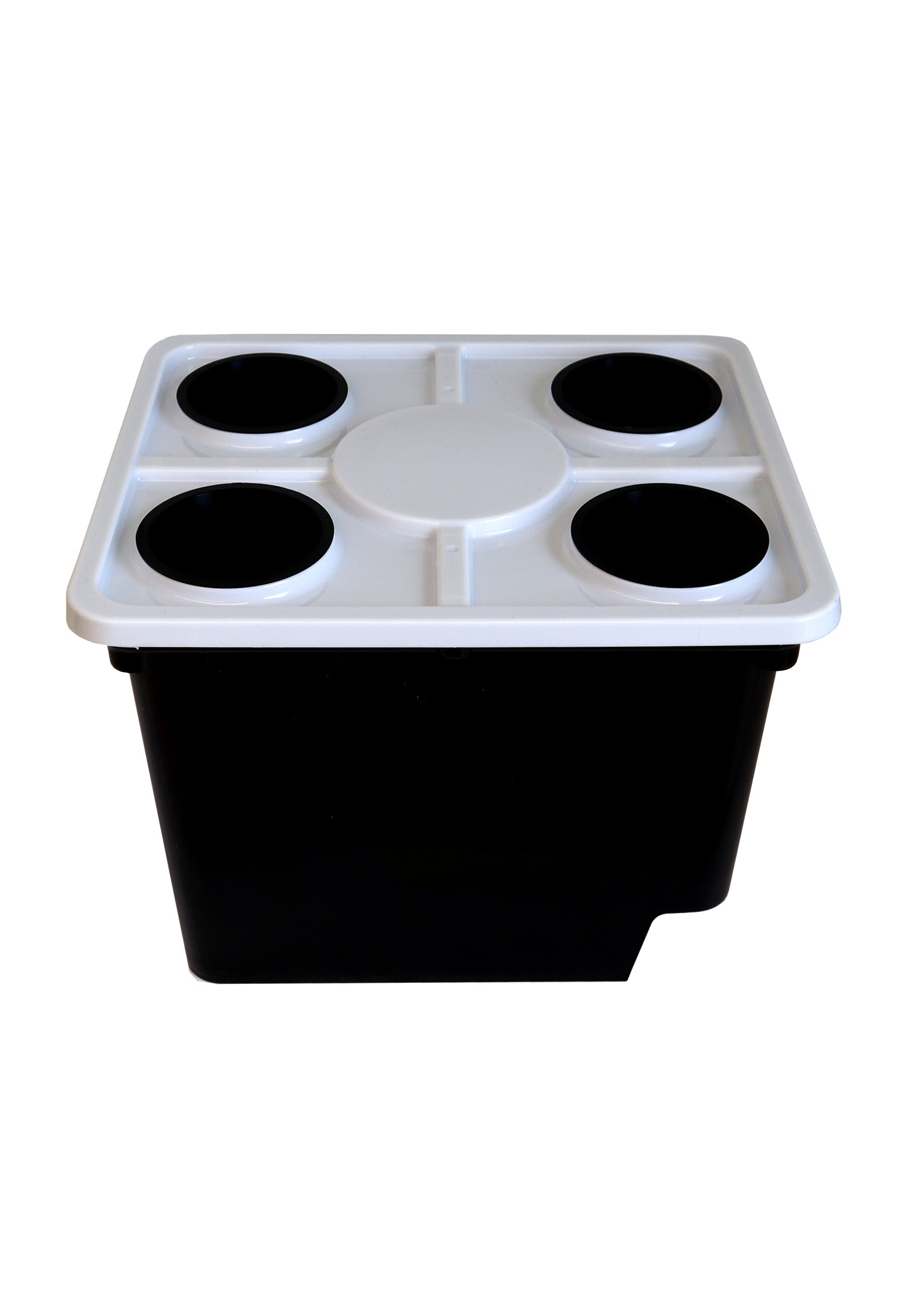 Schwarze Hydrokultur-Box mit weißem Deckel und vier runden Öffnungen