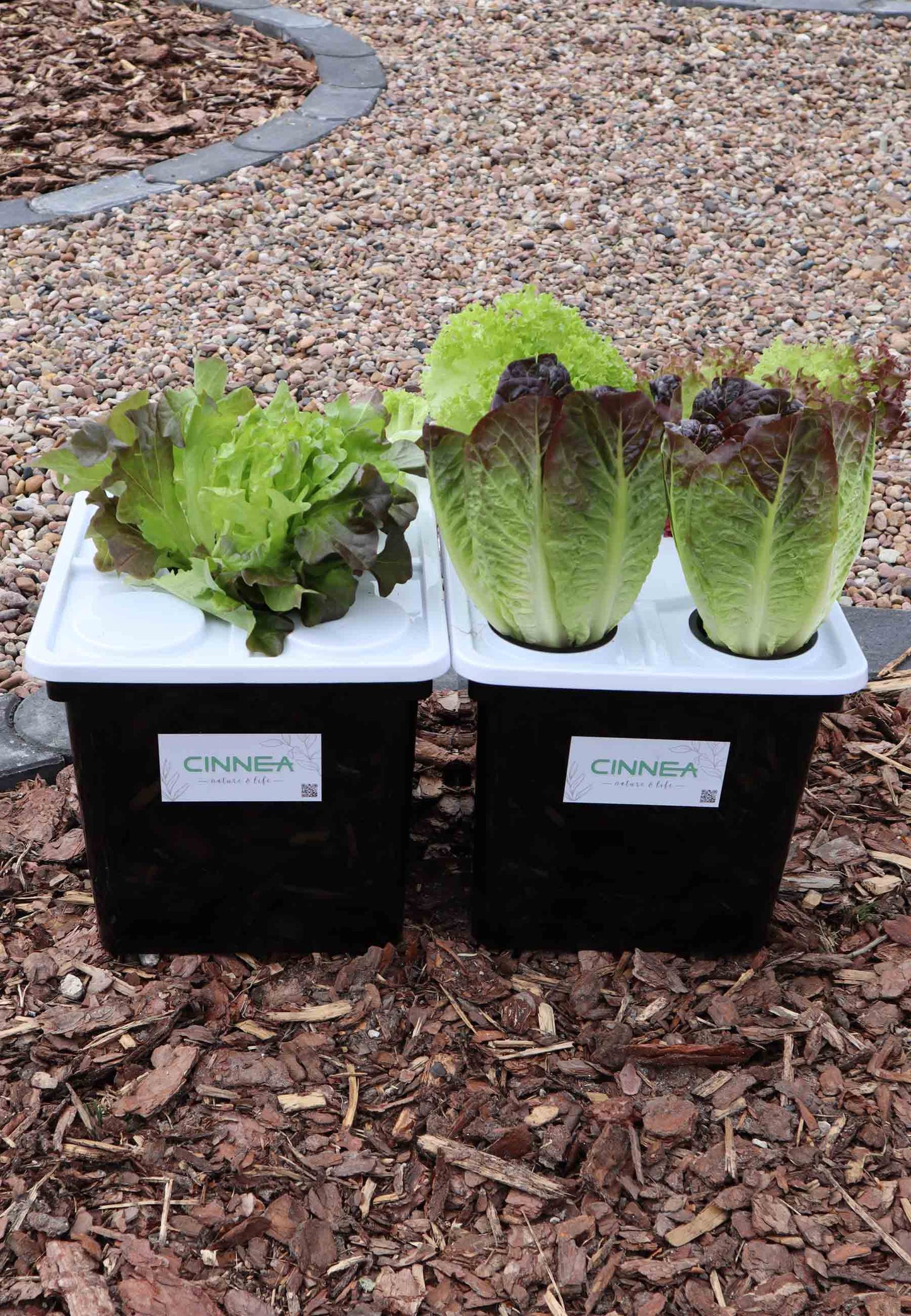 Hydro-Box
